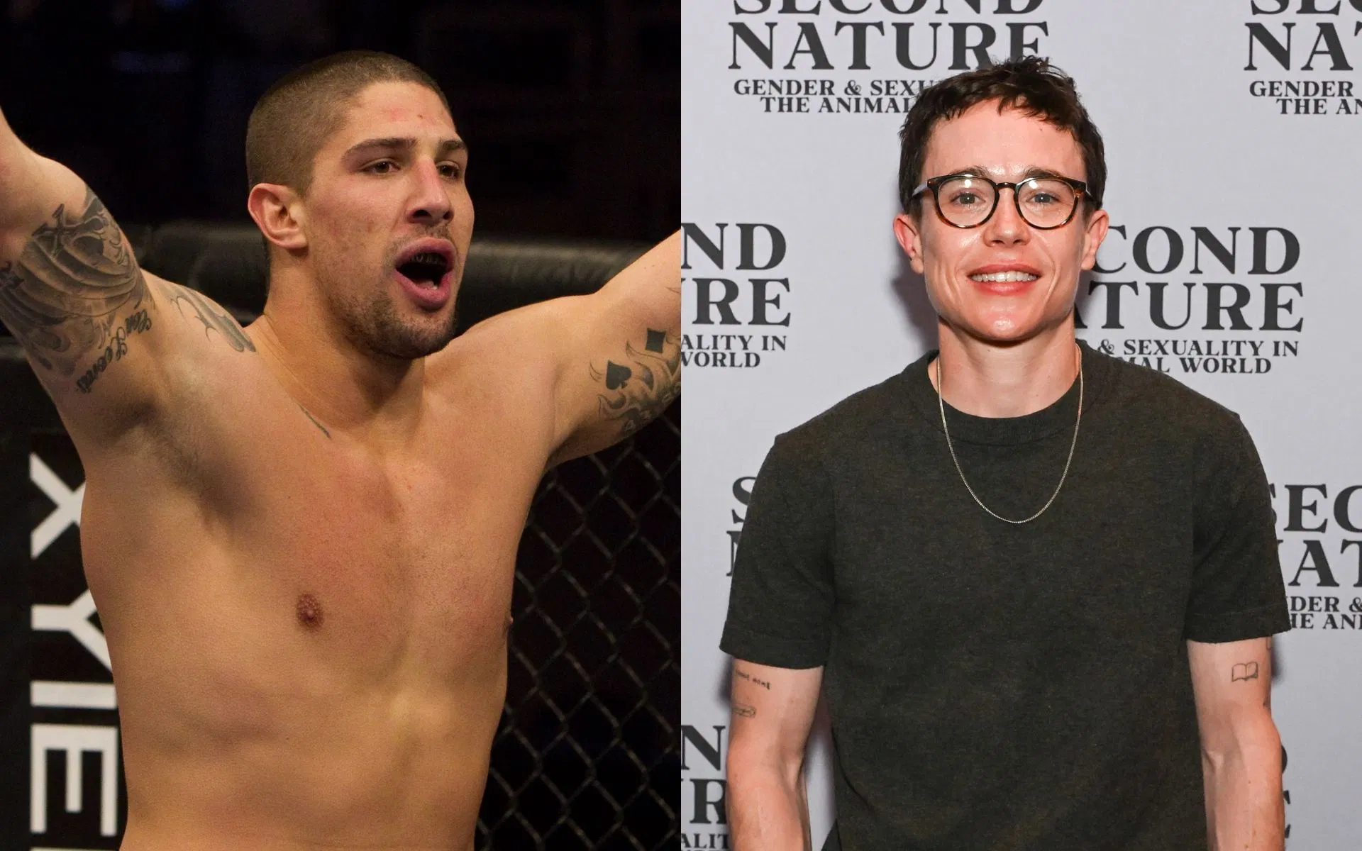 Brendan Schaub reage às habilidades de boxe de Elliot Page com uma possível crítica a Jake Paul